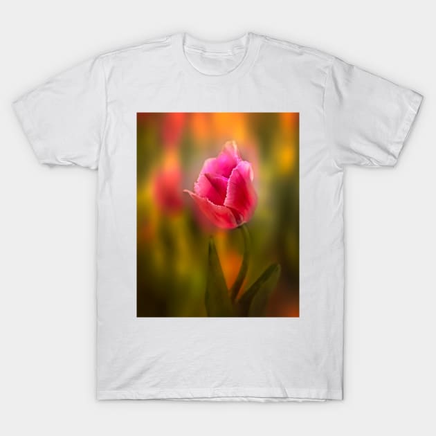 Tulip Garden photograph T-Shirt by art64